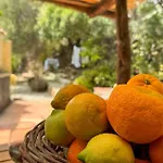 5 Min From The Sea - Jacuzzi Garden Parking Wifi