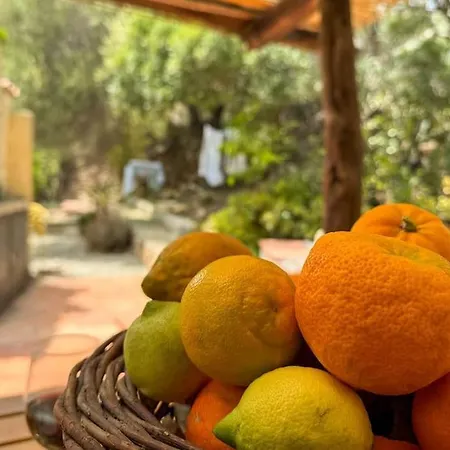 5 Min From The Sea - Jacuzzi Garden Parking Wifi