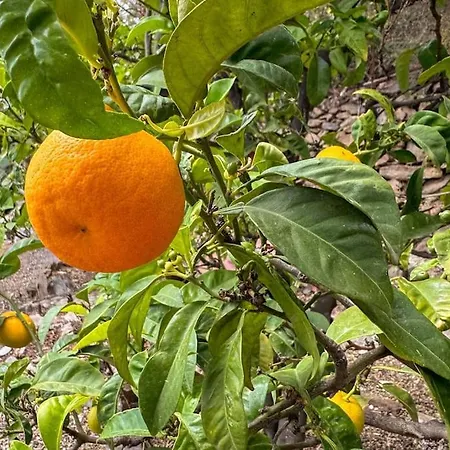 Holiday home 5 Min From The Sea - Jacuzzi Garden Parking Wifi Porto Ottiolu